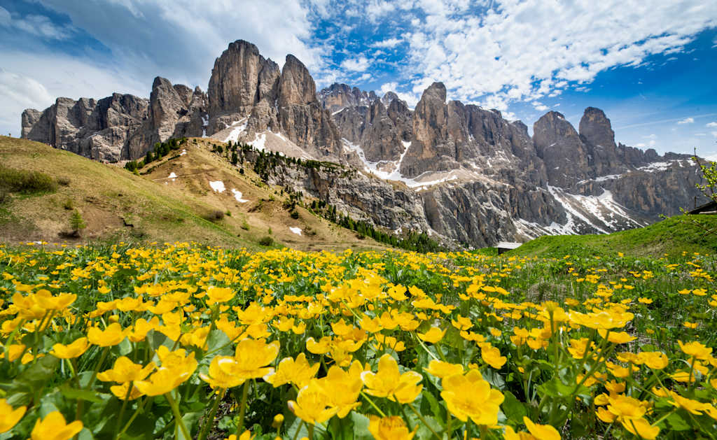 Alpine mountain peak in Italy Alps