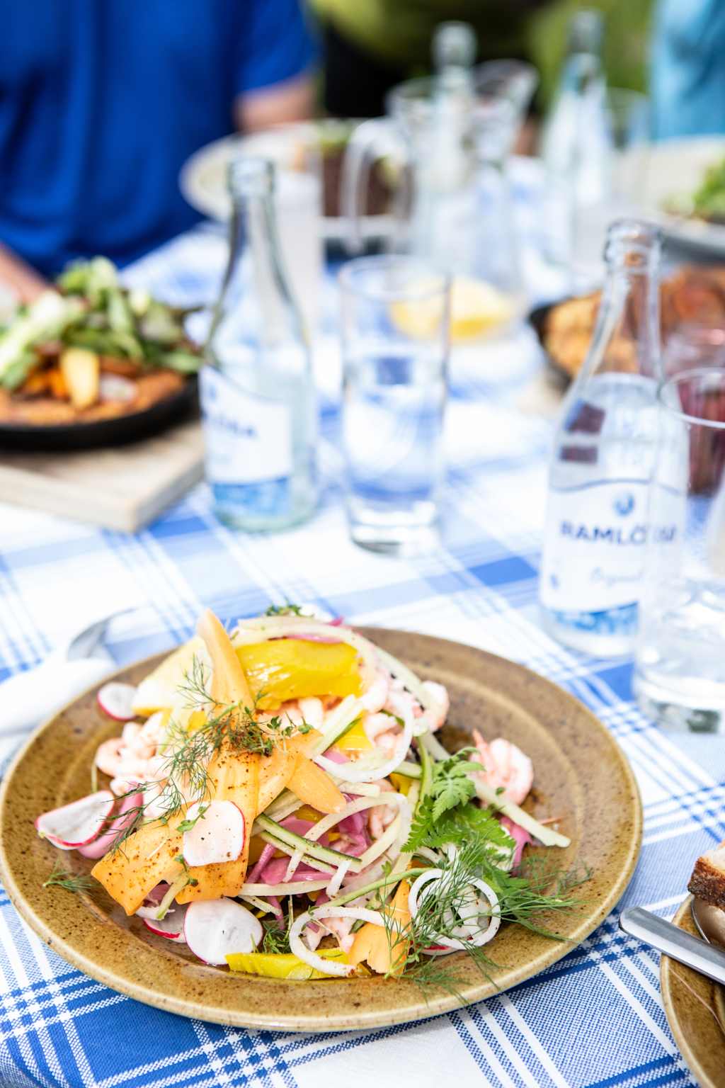 A plate of colorful salad with various vegetables and a lemon wedge sits on a table covered with a blue and white checkered tablecloth, surrounded by glasses and bottles in the background.