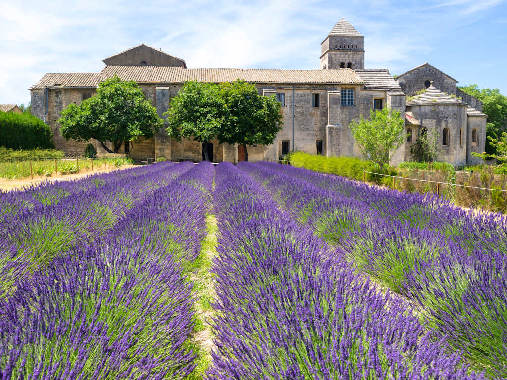 Vincent Van Gogh arrived on May 8, 1889  in Saint-Remy de Provence