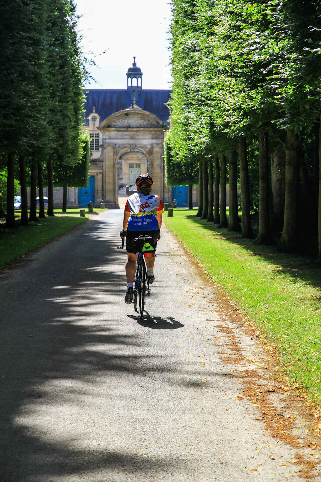 A cyclist rides down a tree-lined path leading to a grand, ornate building in the distance.