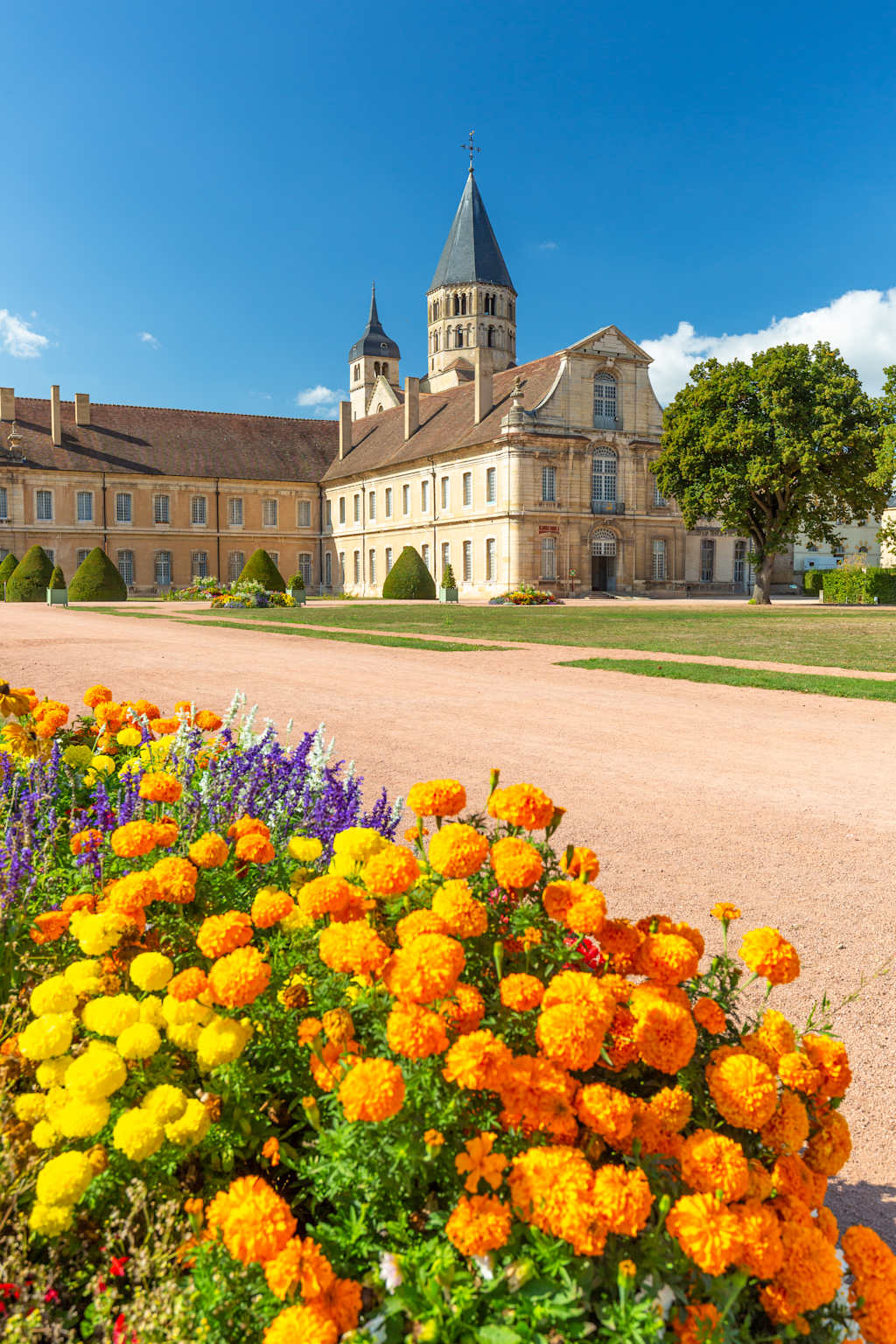 Cluny abbey in France, Burgundy