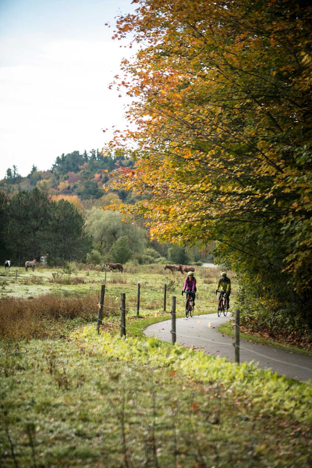 VBT Fall 2019 Photoshoot Two guests biking on Stowe bike path by JAM Creative