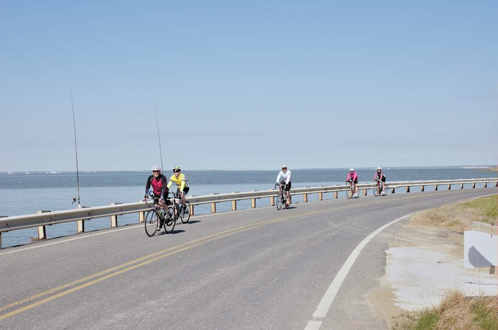 Cambridge, Maryland,USA - May 2, 2015: A group of millennials participate in a charity event bike ride on Maryland's Eastern Shore, specifically along Cat Cove off the Chesapeake bay south of Cambridge on a sunny, bright spring day on May Day.