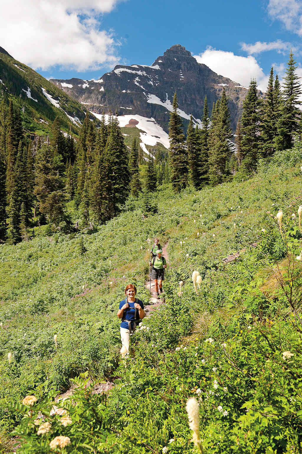 A lush, green meadow with hikers traversing the trail, surrounded by towering snow-capped mountains and a vibrant blue sky with fluffy clouds.