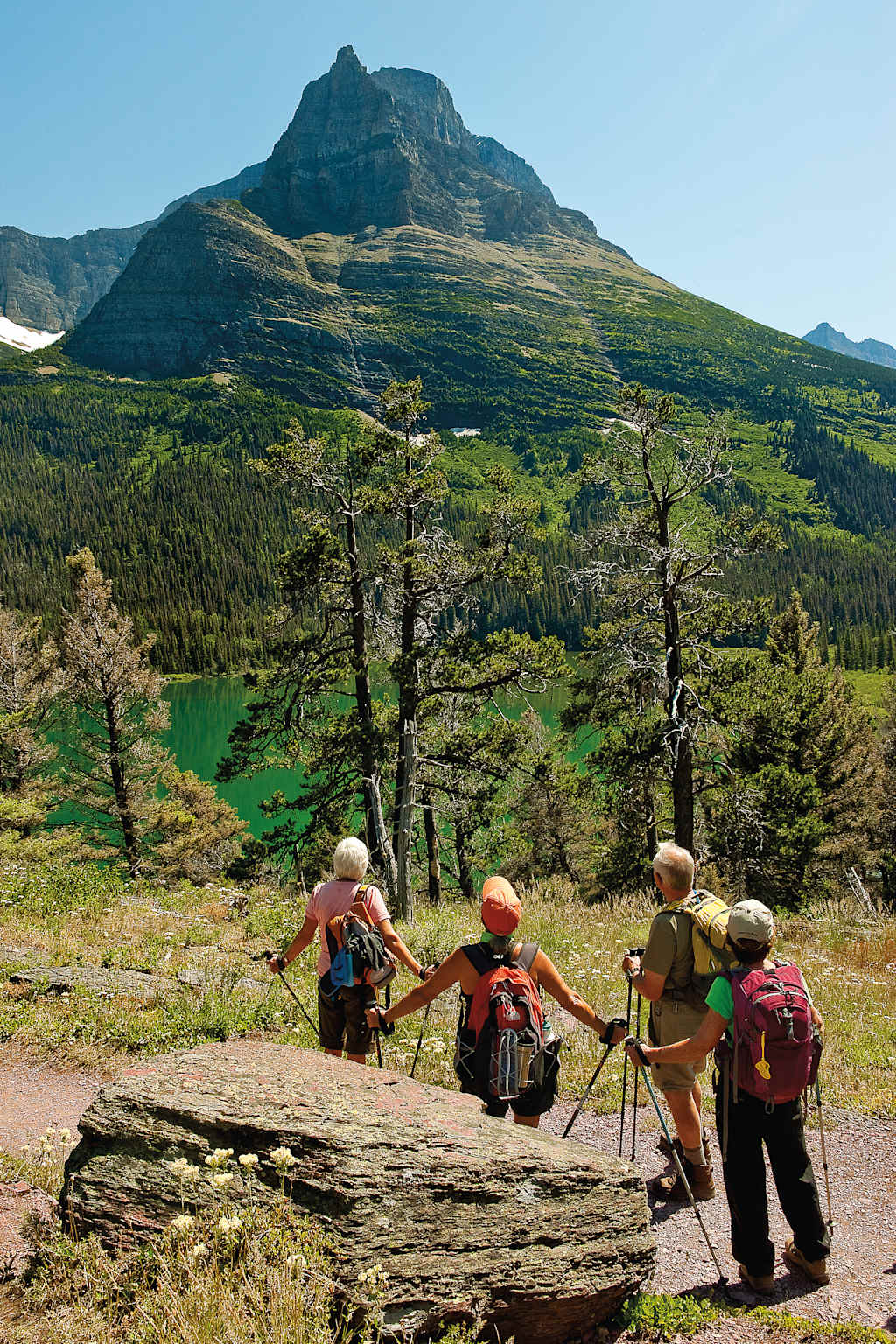 A group of hikers with backpacks and hiking gear stand on a rocky trail, surrounded by a lush, forested landscape with a towering mountain peak in the background.