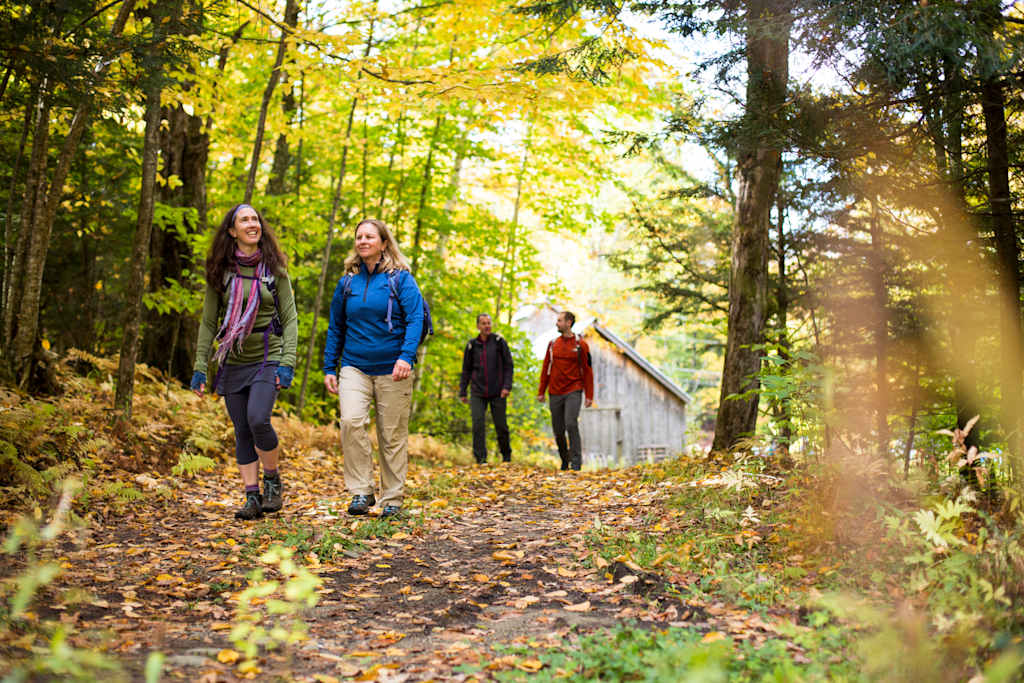 A group of people walking on a path through a vibrant, autumnal forest, with sunlight filtering through the trees and fallen leaves covering the ground.