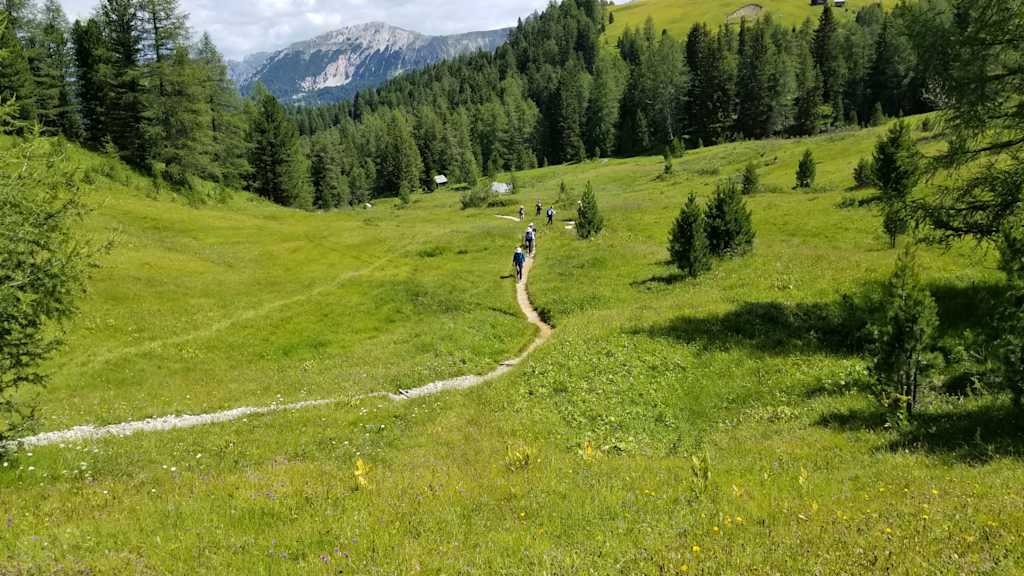 A lush, green meadow with a winding path leading through the forest, surrounded by towering mountains in the distance.