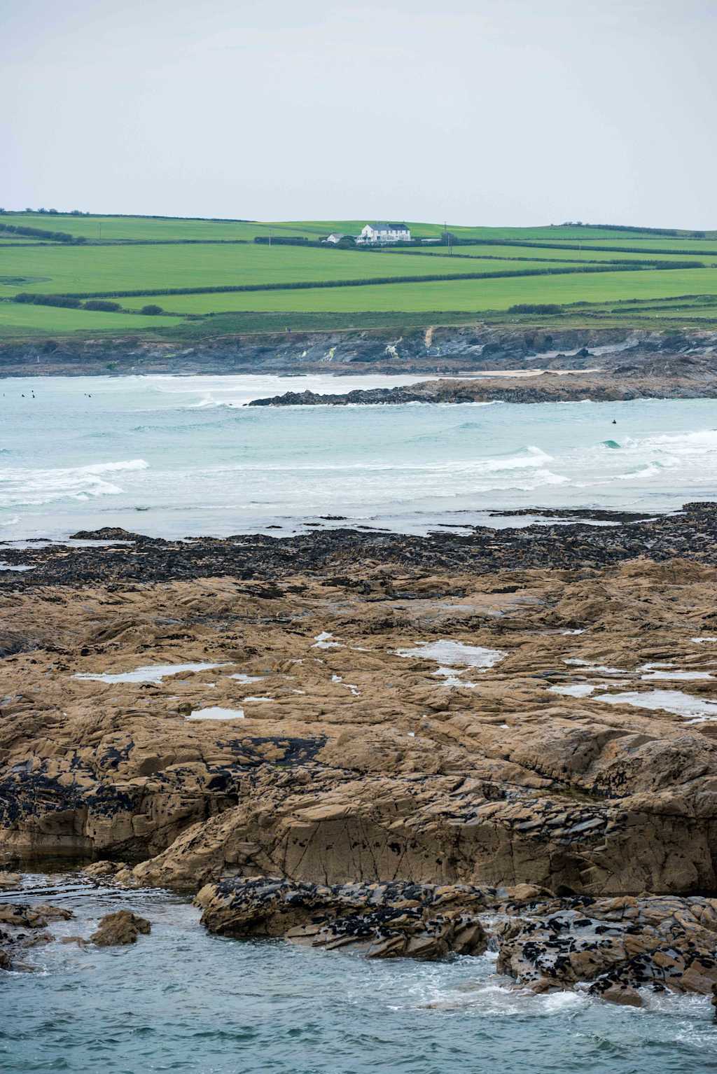 A rocky coastline with tidal pools in the foreground, surrounded by lush green fields in the background, under a clear blue sky.
