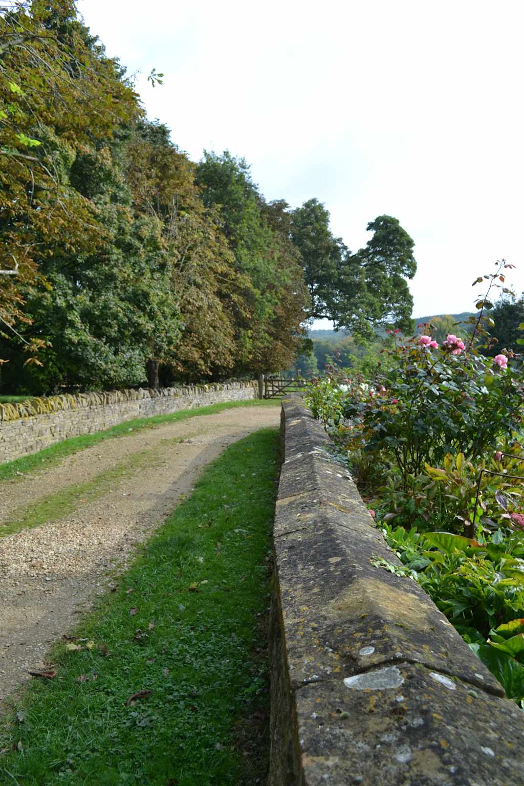 A winding gravel path leads through a lush, verdant landscape, with towering trees and vibrant flowers lining the sides, creating a serene and picturesque scene.