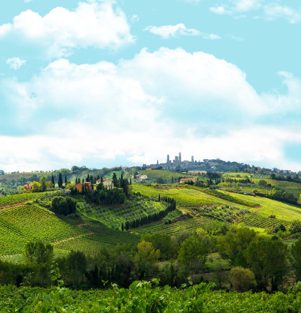 A lush, rolling landscape of vineyards and olive groves, with a distant town nestled among the hills under a bright, cloudy sky.