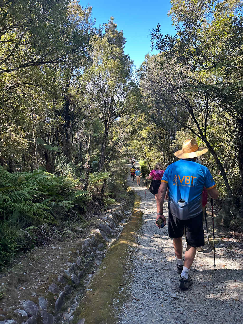 A group of hikers walking along a rocky stream surrounded by lush, verdant foliage and trees in a scenic outdoor setting.