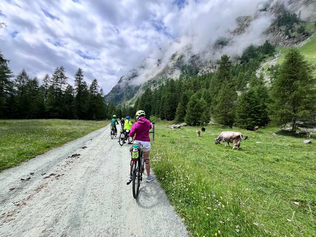 A group of cyclists riding on a dirt path through a lush, green meadow surrounded by towering mountains and pine trees, with a dog running alongside them.