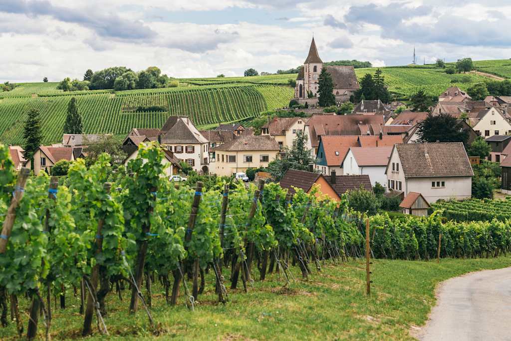 A picturesque village nestled among rolling hills, with a church steeple rising above the charming houses and vineyards in the foreground.