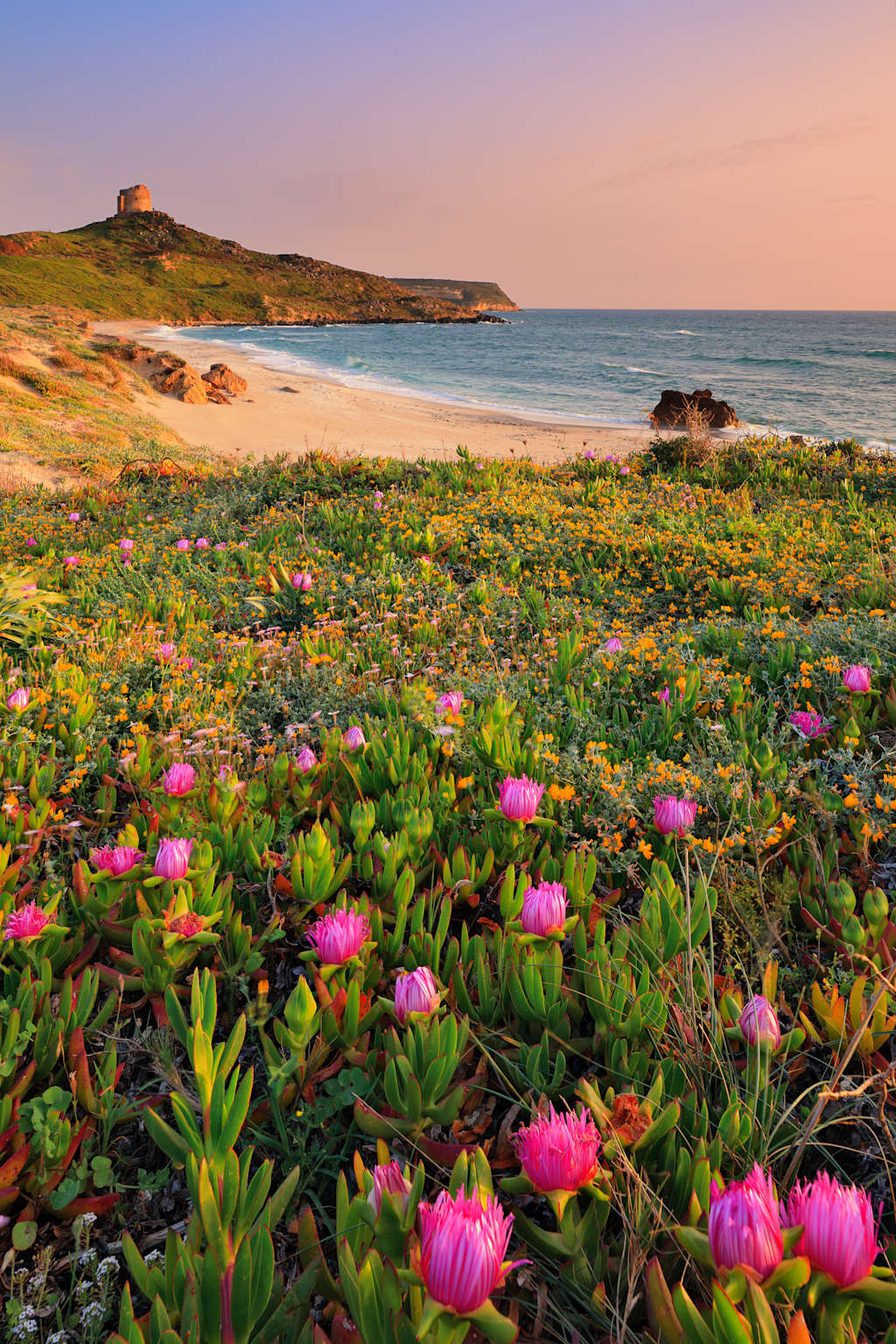 South Africa | Cape Town & the Garden Route Guided Bicycling Vacation