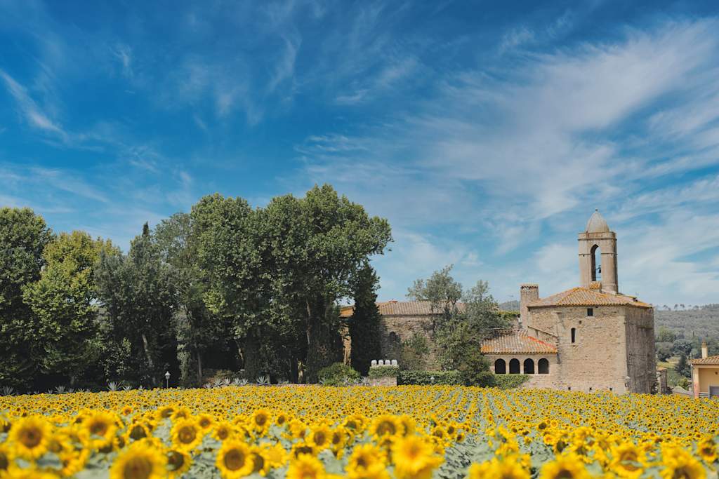 A field of vibrant yellow sunflowers in the foreground, with a historic building and lush green trees in the background against a blue sky with wispy clouds.