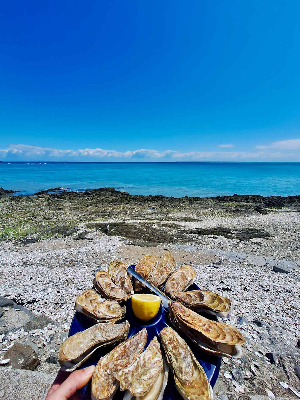 A plate of freshly shucked oysters sits on a rocky beach, with the vibrant blue ocean and clear sky visible in the background.