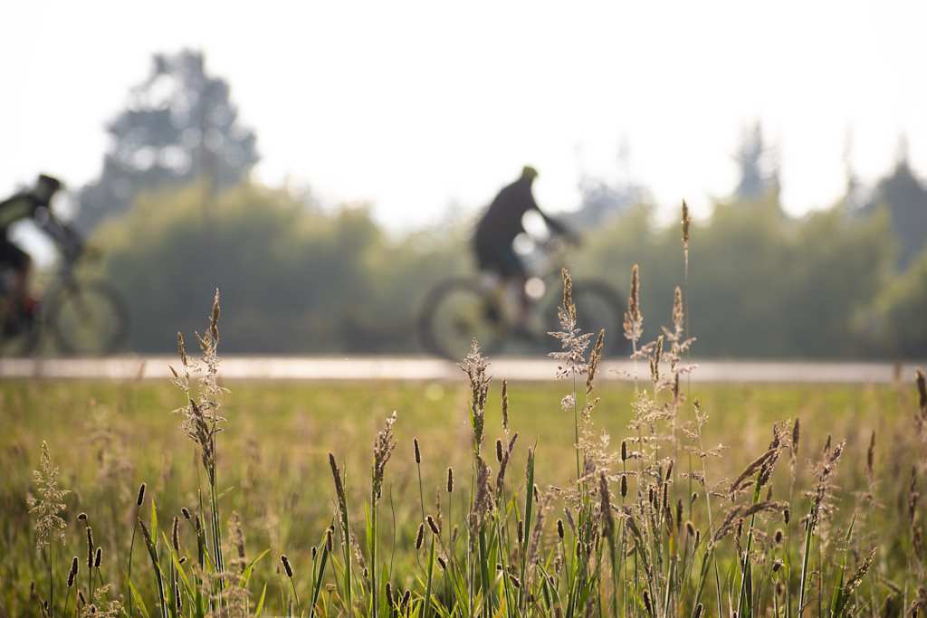 Biking through Austria, Slovakia, Czechia: Bratislava, Prague, Vienna on a Guided Bike Tour