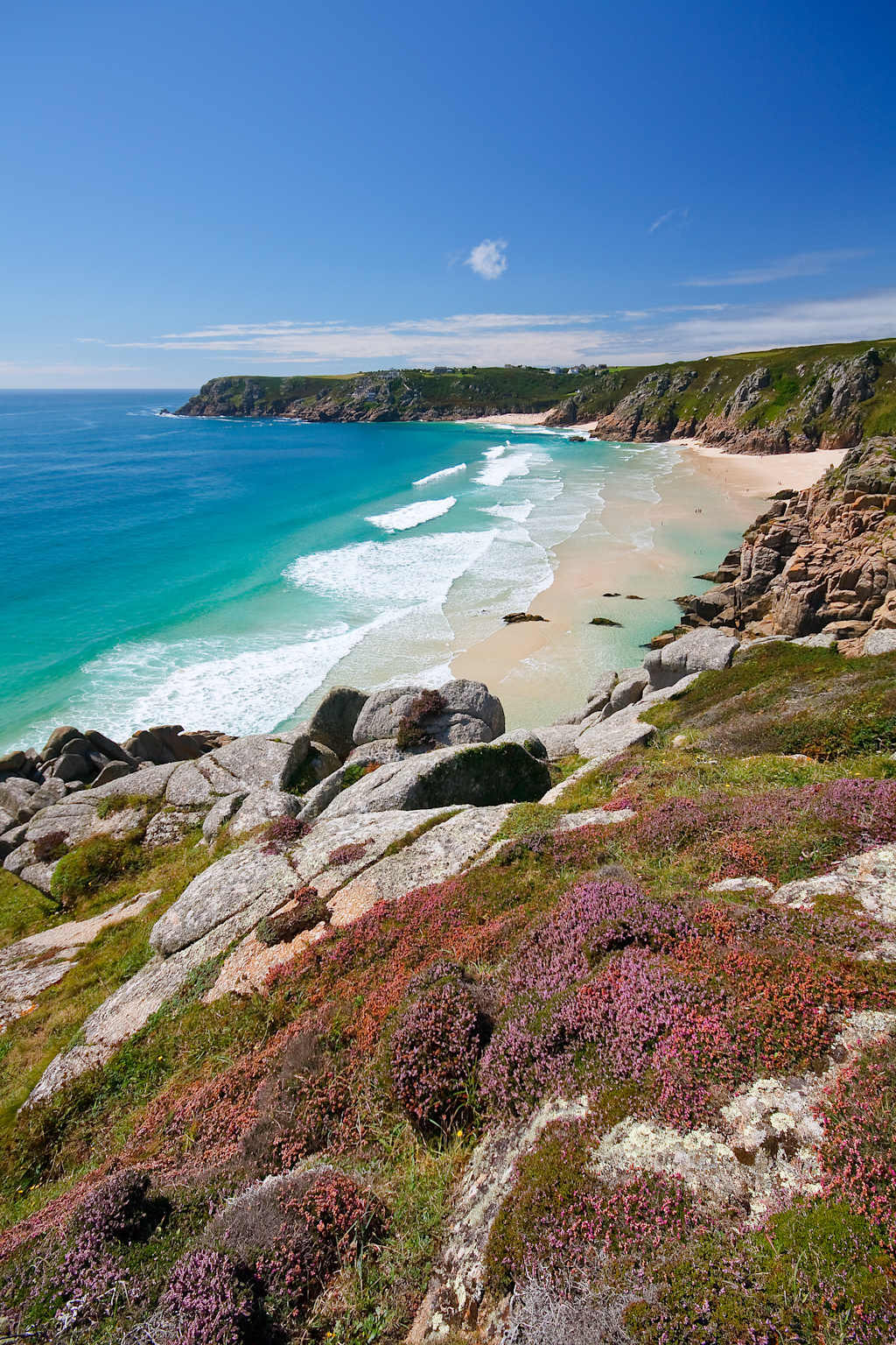 A stunning coastal landscape with a vibrant turquoise ocean, rocky cliffs, and a lush, flowering foreground.