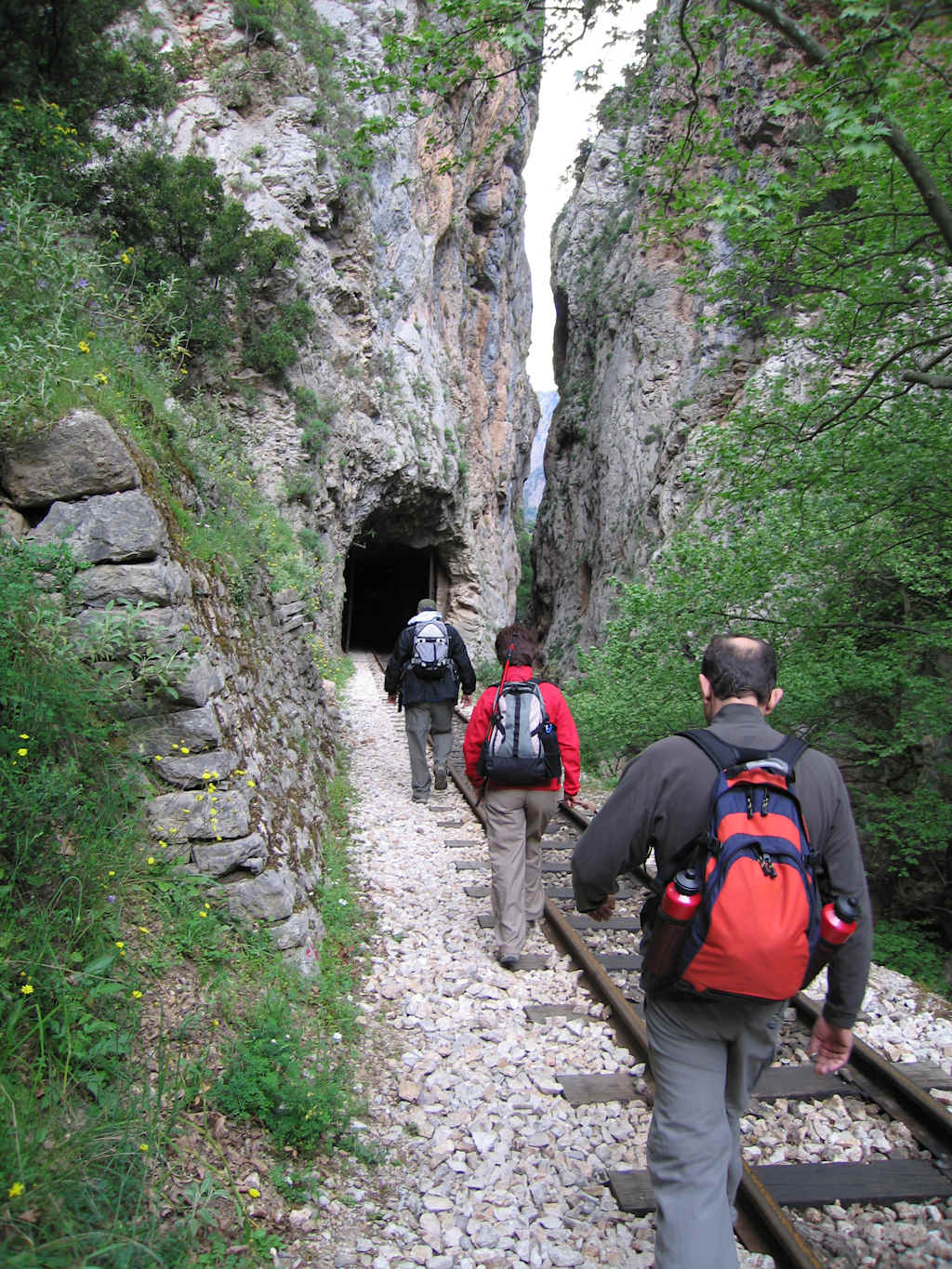 A narrow, rocky path winds through a lush, green forest, leading towards a dark cave entrance in the distance, with hikers in the foreground carrying backpacks and exploring the scenic landscape.