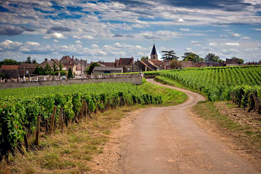 France Bike & River Cruise: Lyon to Nice Guided Bicycling Vacation