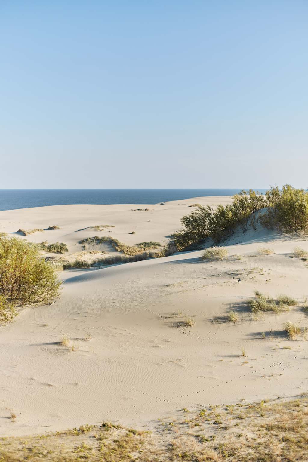 A vast, sandy beach stretches out towards the calm, blue ocean in the distance, with lush vegetation lining the shore.