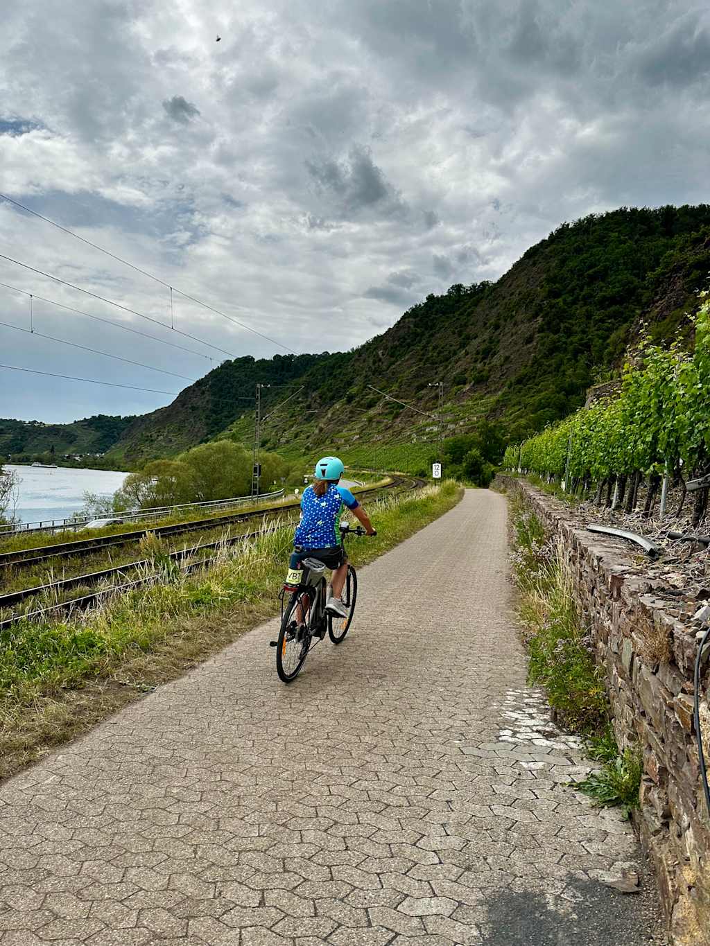 Basel to Amsterdam Rhine Bike & River Cruise - VBT Vacations