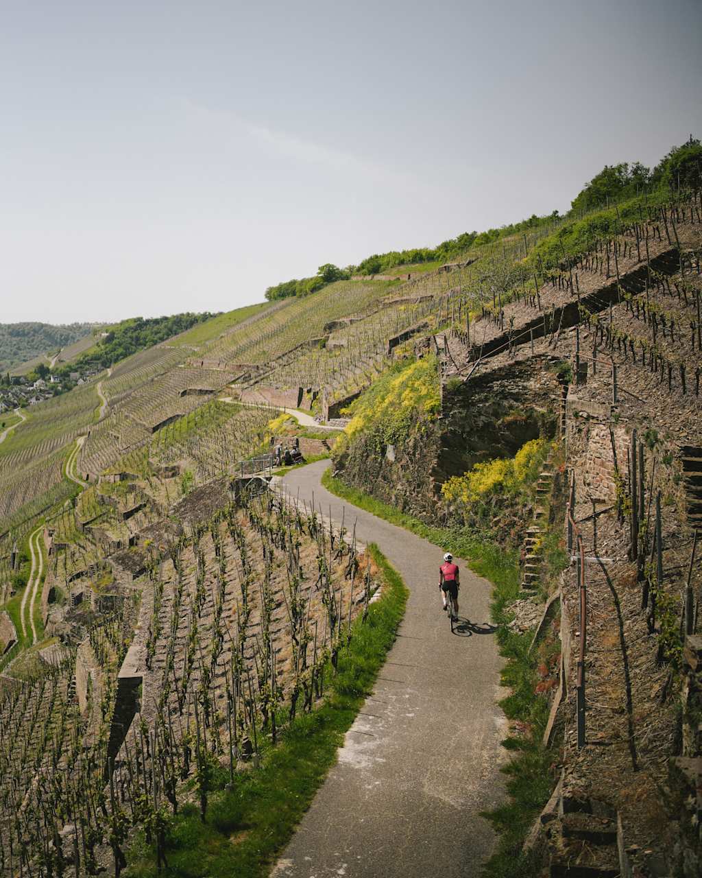 Basel to Amsterdam Rhine Bike & River Cruise - VBT Vacations