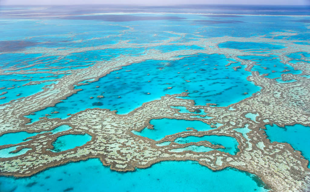 Vibrant turquoise waters dotted with intricate coral formations stretch out against a serene, azure sky in this breathtaking aerial view.