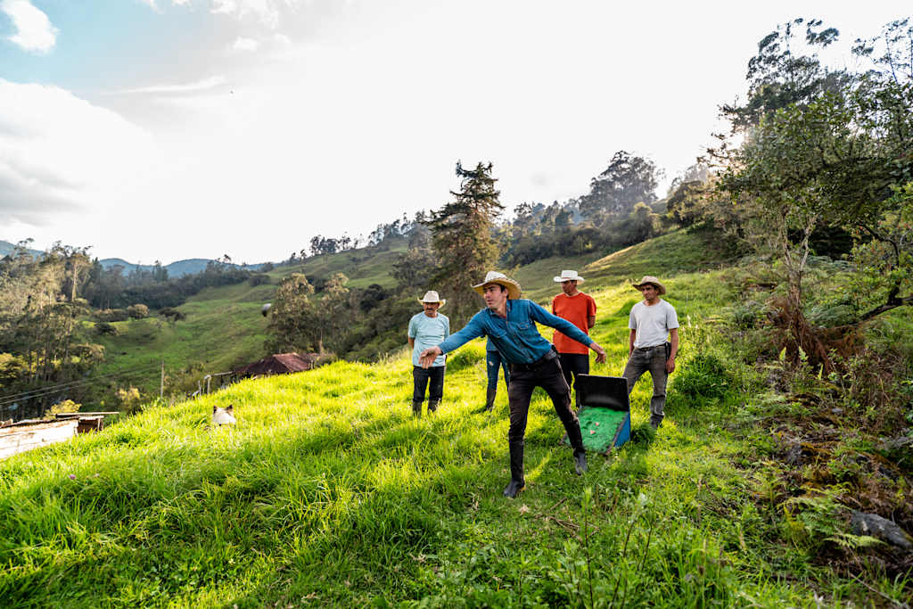 A group of hikers traversing a lush, green trail surrounded by rolling hills and trees in the background.