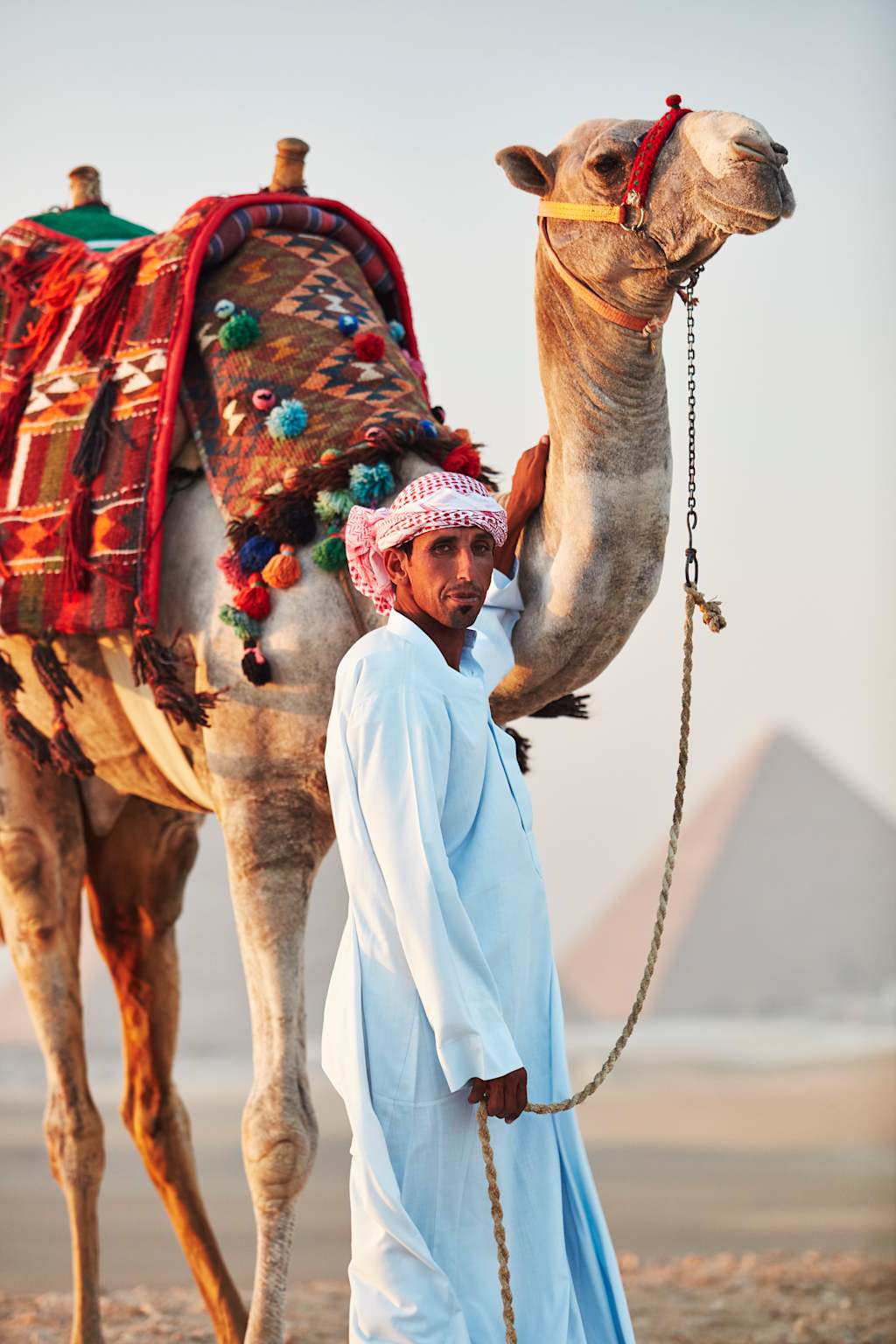 A colorfully dressed person stands next to a camel adorned with vibrant textiles, set against a desert landscape in the background.