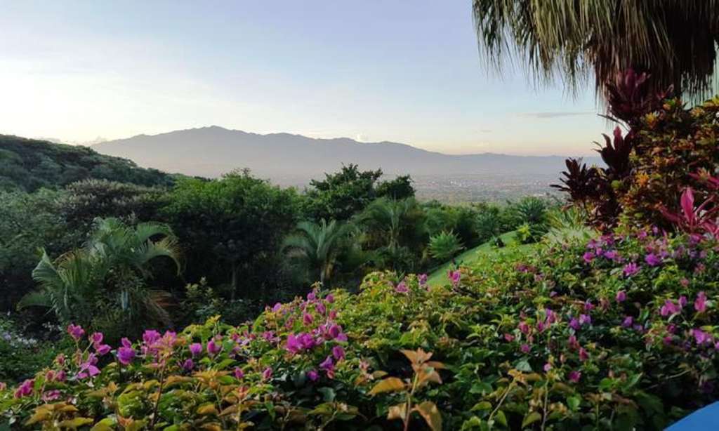 A lush, vibrant garden with a variety of tropical plants and flowers in the foreground, set against a backdrop of distant mountains and a clear sky.