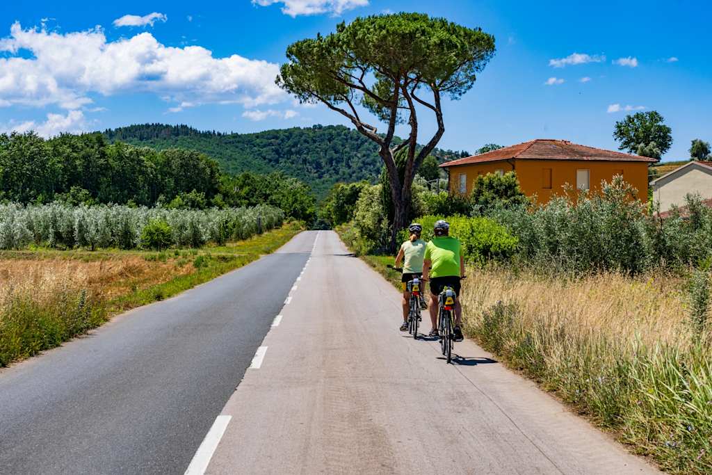 A paved road winds through a lush, green landscape with a towering pine tree and a pair of cyclists riding in the distance, with a rustic building visible in the background.