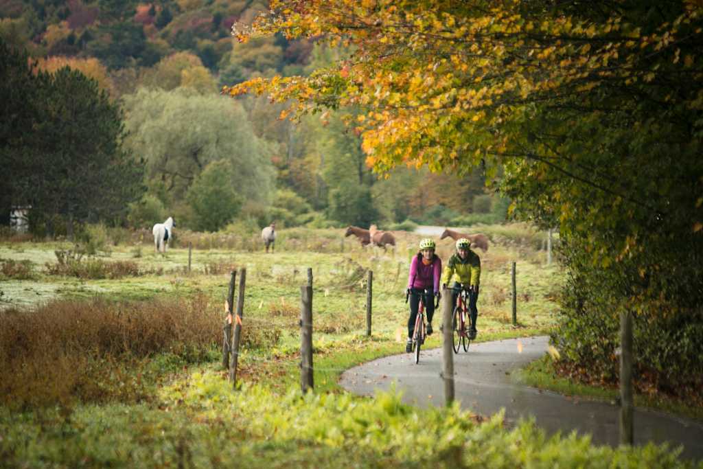 A scenic autumn landscape with a paved path winding through a lush, colorful forest, where two cyclists are riding in the distance, surrounded by grazing horses in the background.