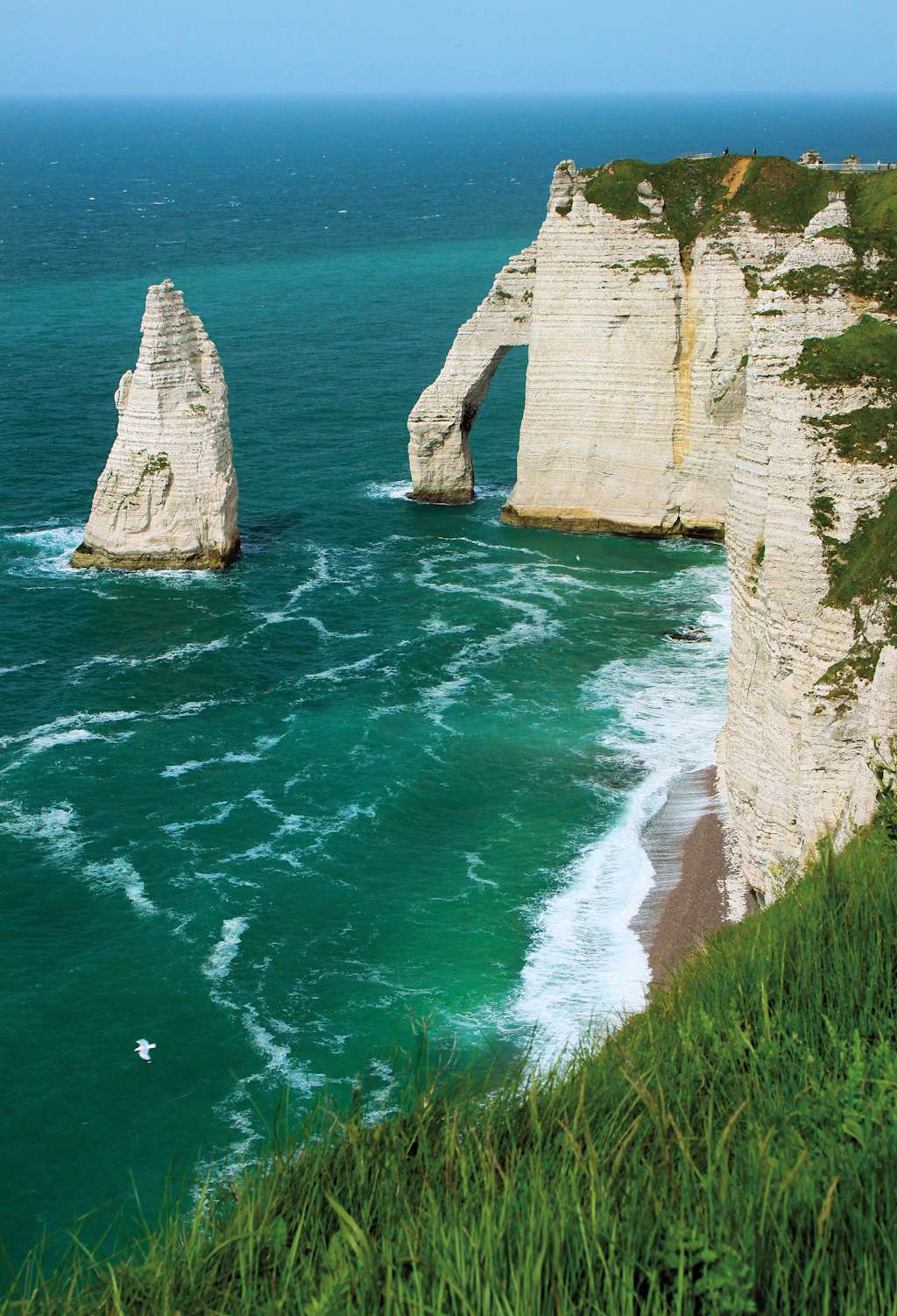 Towering white cliffs rise above the turquoise waters of the ocean, with lush green vegetation adorning the cliff edges in the foreground.