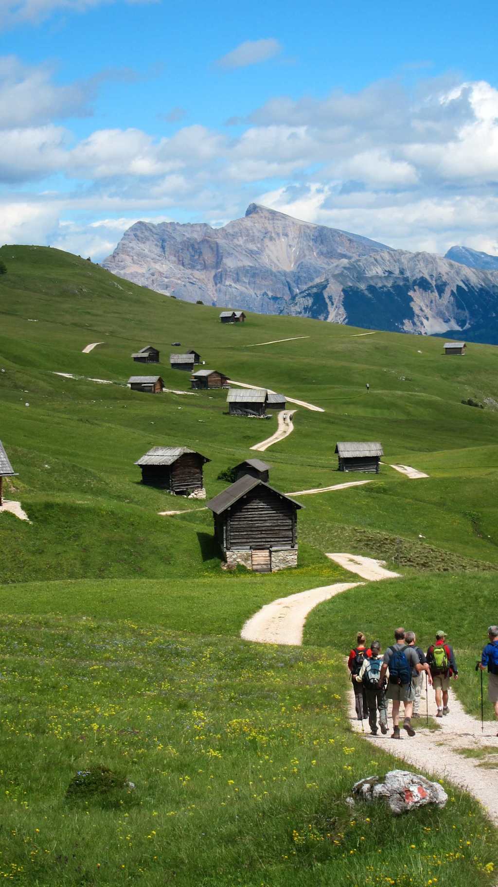 A scenic landscape with a group of people walking on a path through a grassy field, surrounded by wooden cabins and towering mountains in the background.