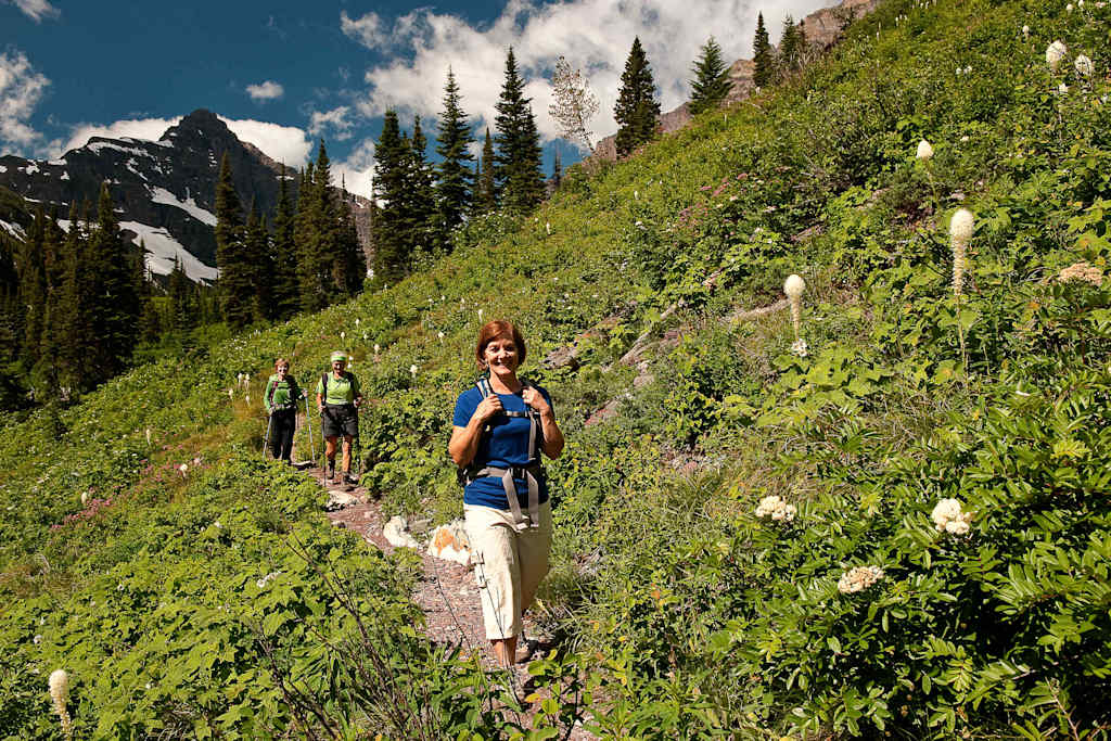 A group of hikers traversing a lush, verdant trail amidst towering mountains and pine trees, with a clear blue sky overhead.