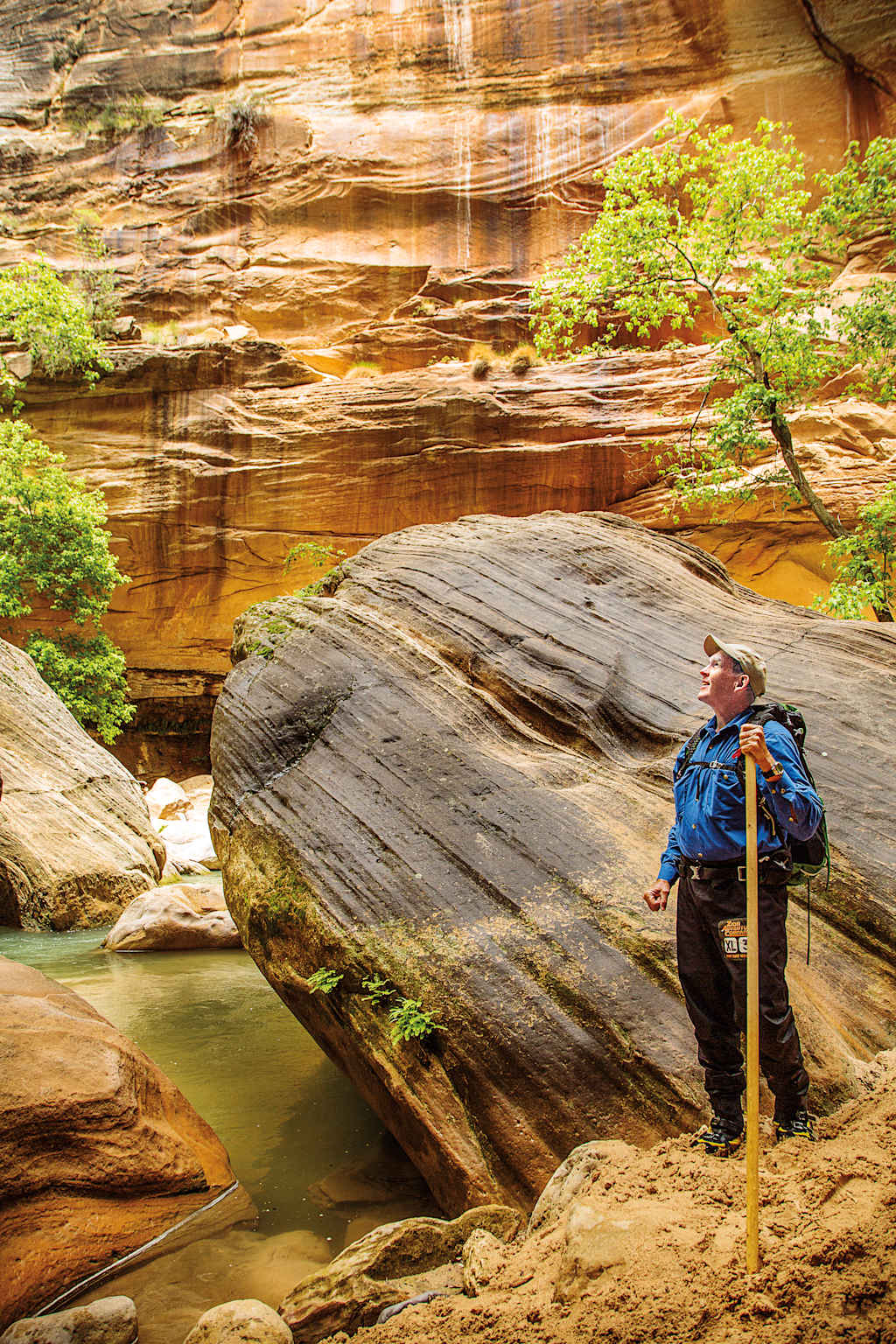 A hiker stands on a large rock formation surrounded by a canyon with vibrant orange and green hues, with a small pool of water in the foreground.