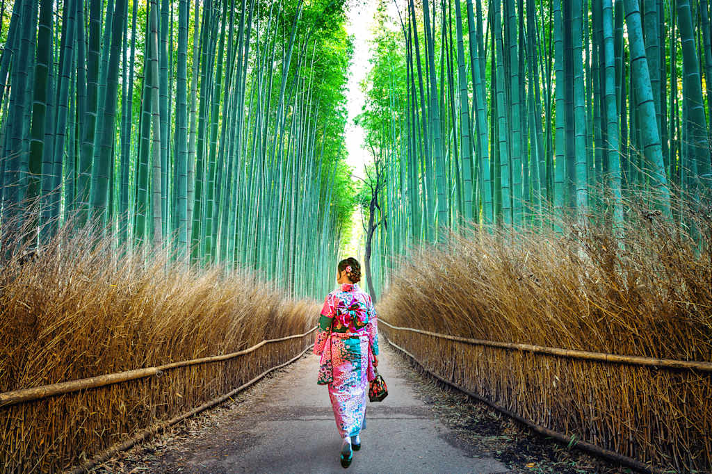 A person in a colorful kimono walks along a wooden path through a lush, verdant bamboo forest.