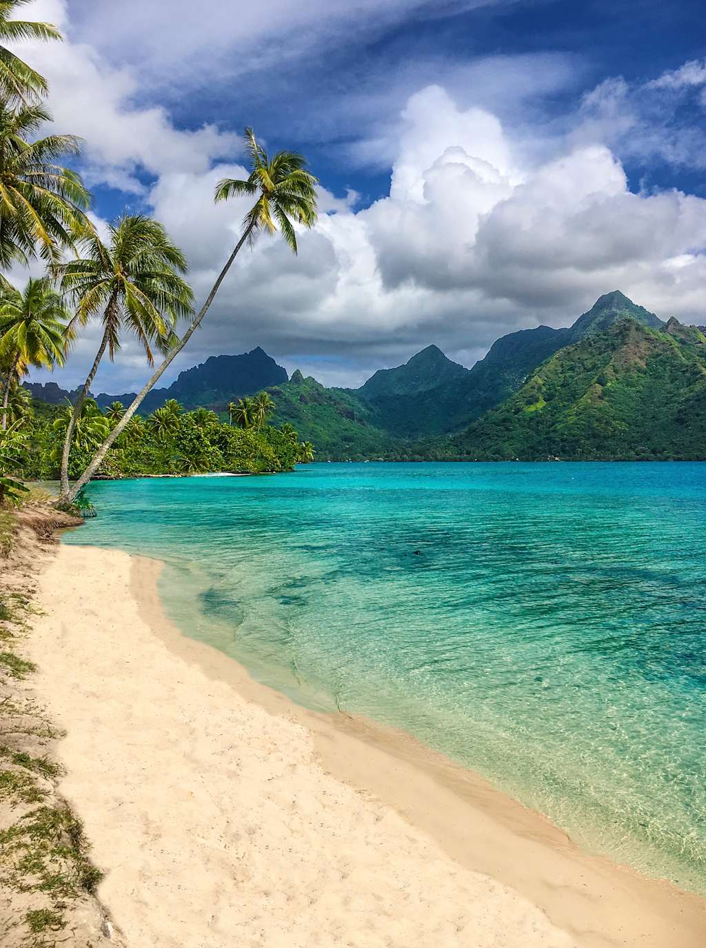 A stunning tropical beach with swaying palm trees, crystal-clear turquoise waters, and lush green mountains in the background, creating a breathtaking natural landscape.