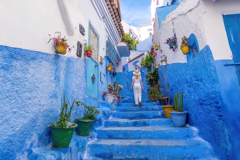 A vibrant, narrow alleyway with blue-painted walls, colorful potted plants, and stairs leading up, creating a charming and visually striking scene.