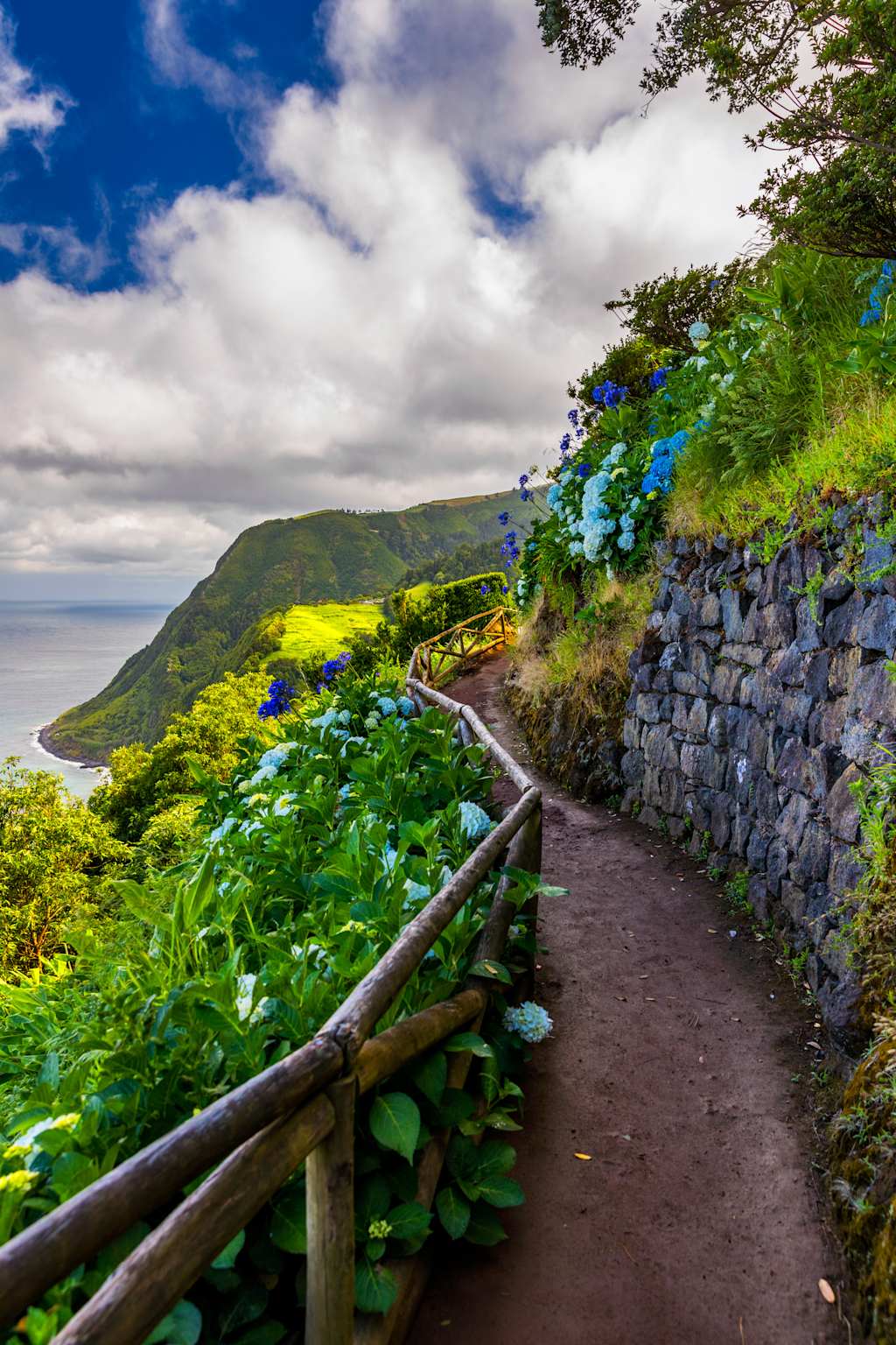 A dirt path lined with blooming hydrangeas and a stone wall winds along a lush green cliff overlooking the ocean under a cloudy sky.
