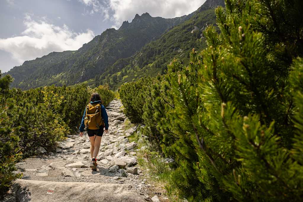 A hiker with a backpack walks up a rocky path through dense green pine trees, with jagged mountain peaks in the distance under a cloudy sky.