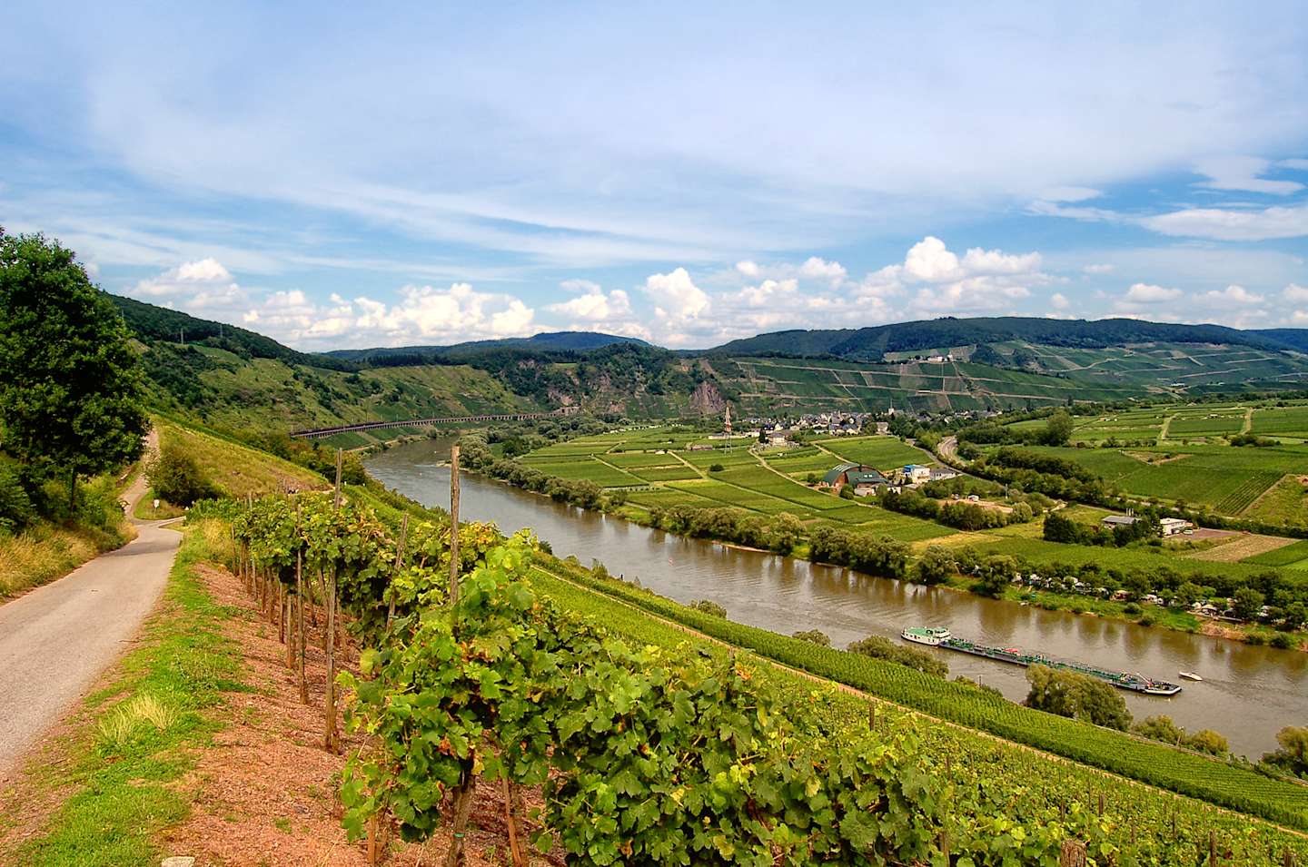 "Vineyard at Mosel River in Mosel valley (Rhineland-Palatinate, Germany). On river a barge. Decent hdr and cross-processed effect."