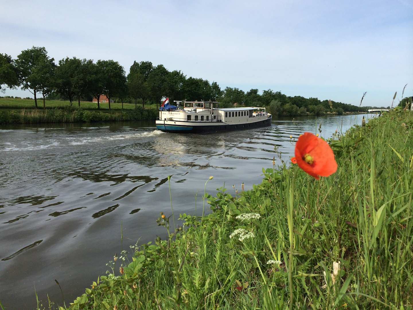 A scenic waterway with a passenger boat cruising along, surrounded by lush greenery and a vibrant red poppy in the foreground.