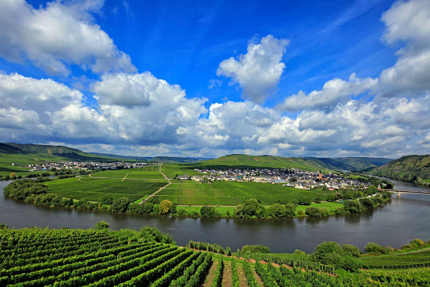 PBB Vineyards at the Loop of Moselle River near Trittenheim, Rhineland-Palatinate, Germany