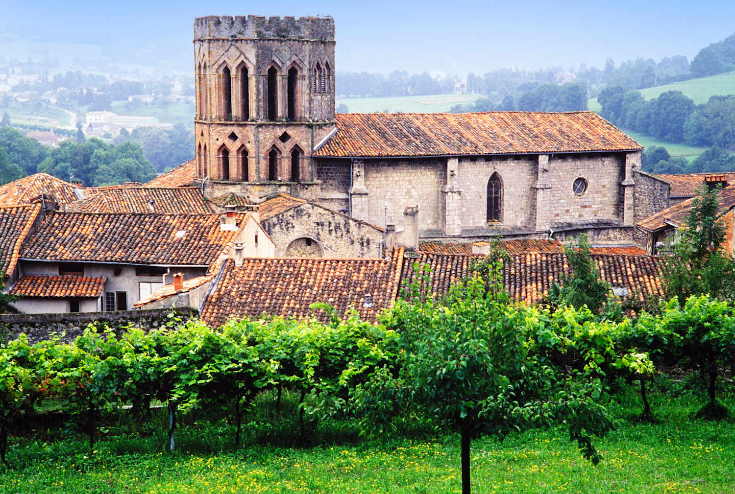 France Alsace view over vineyards and wine town