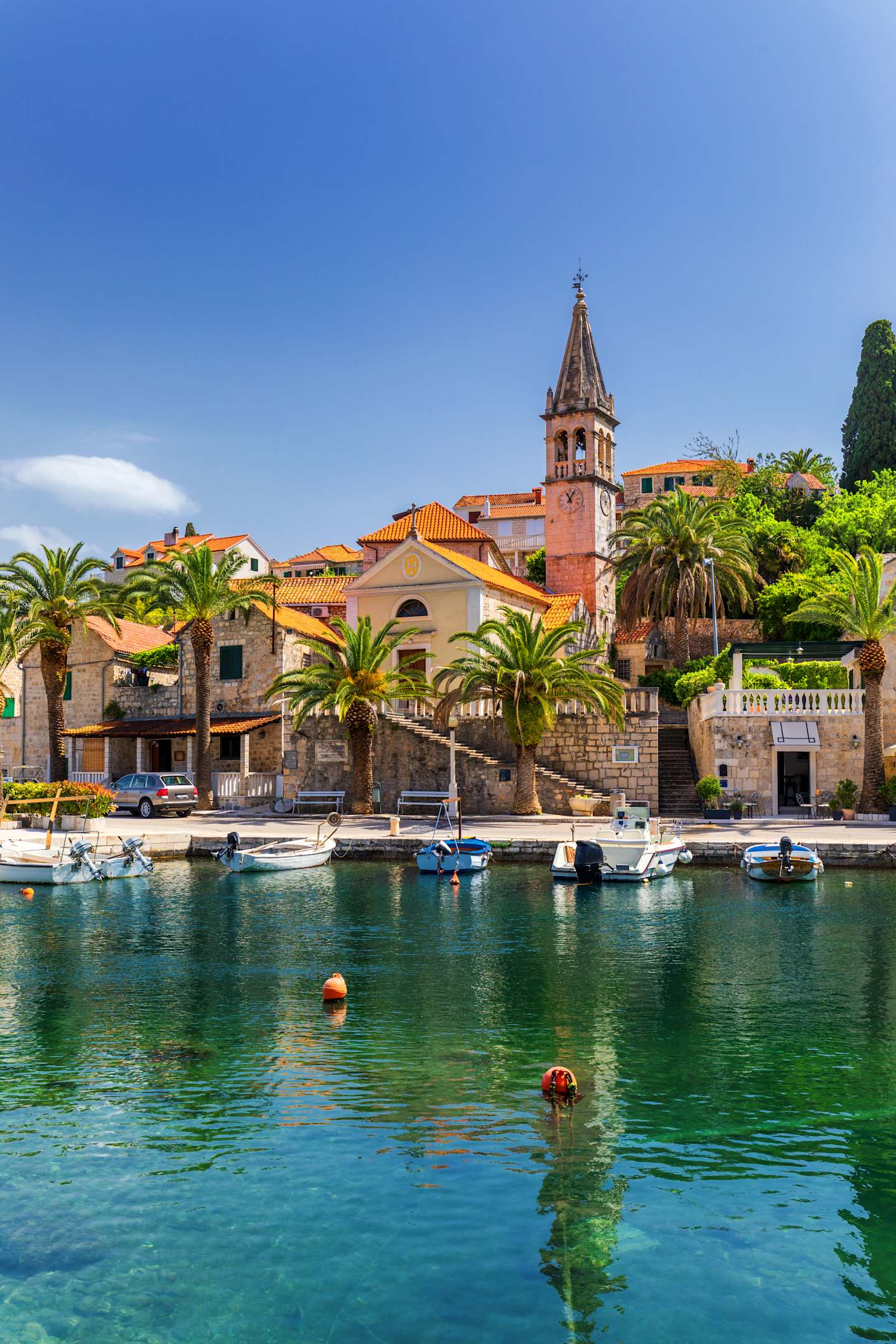 Church building and palm tree against sunny blue sky in Splitska village on Brac island, Croatia.