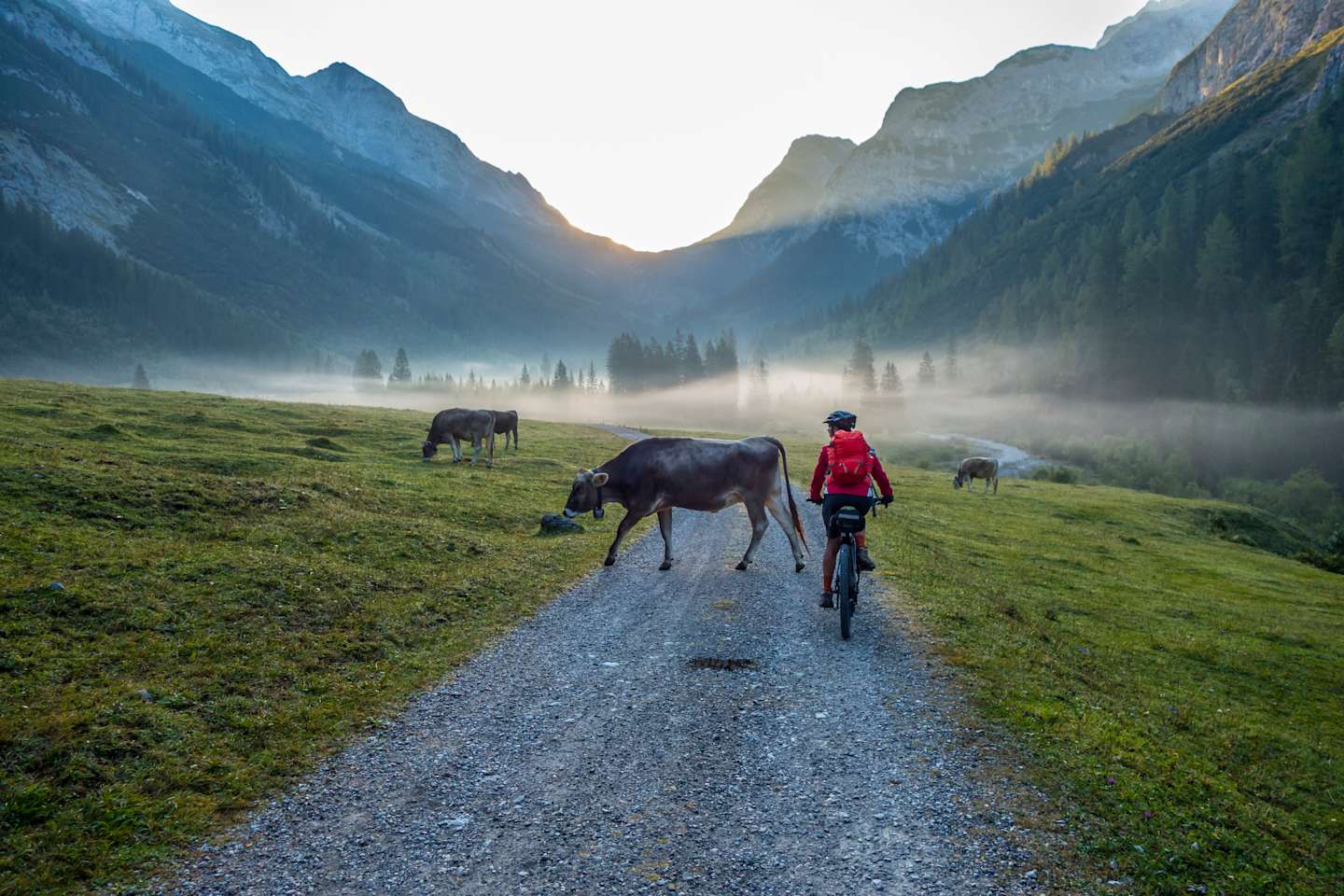 senior woman, riding her electrical mountain bike in early foggy morning in the Karwendel valley, Tirol,Austria