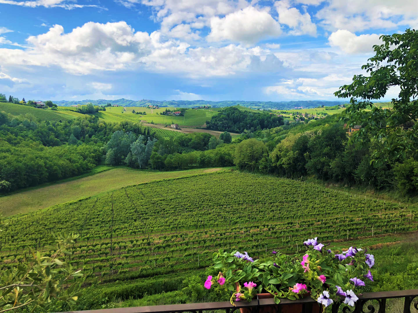 Italy: Piedmont, Langhe & the Italian Riviera Guided Bicycling Vacation