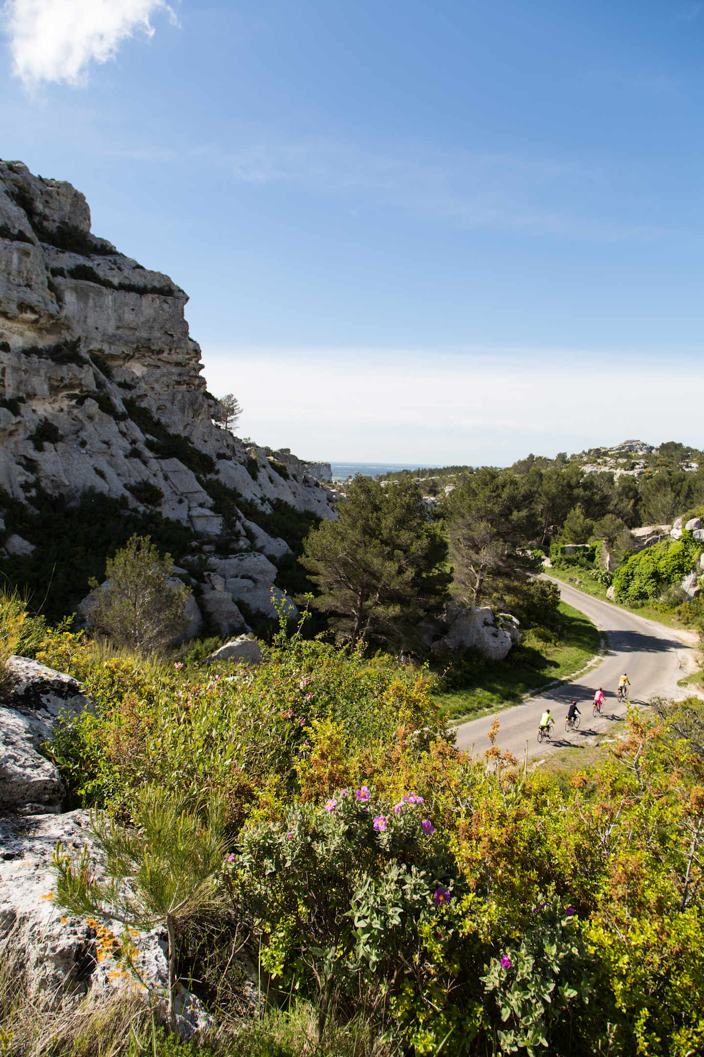 Provence: The Alpilles 2013